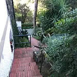 Mimosa Splendida Vista Mare Гостевой дом