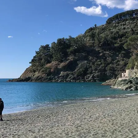 Mimosa Splendida Vista Mare Gasthof