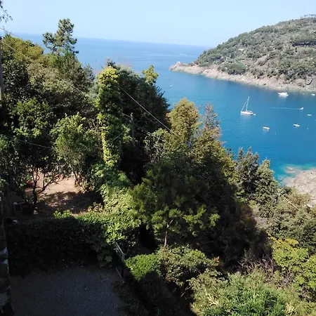 Mimosa Splendida Vista Mare Bonassola