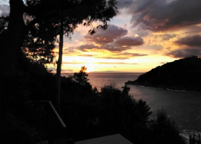 Gæstehus Mimosa Splendida Vista Mare 3*