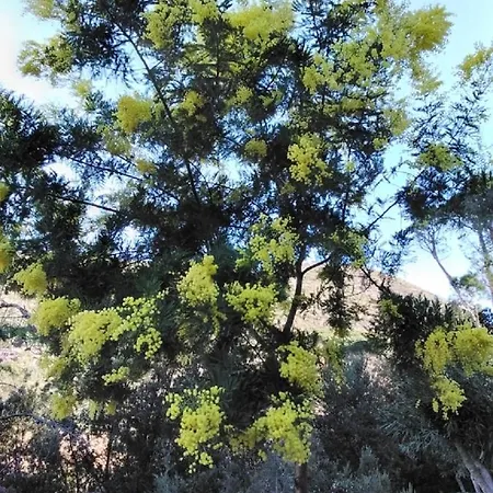 Mimosa Splendida Vista Mare * Bonassola