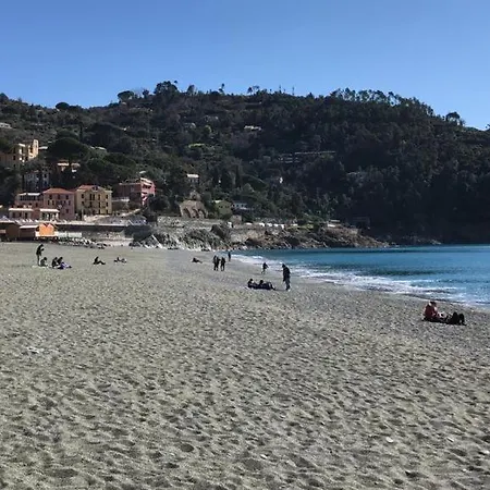 Konukevi Mimosa Splendida Vista Mare 3*
