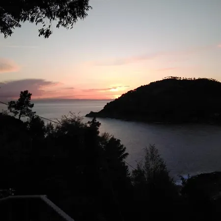Mimosa Splendida Vista Mare Guest house 3*