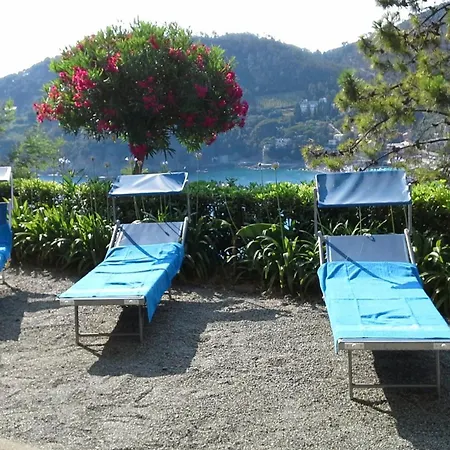 Mimosa Splendida Vista Mare 3*