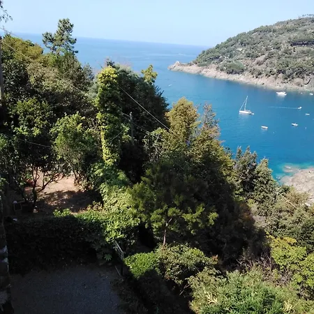 Mimosa Splendida Vista Mare Bonassola