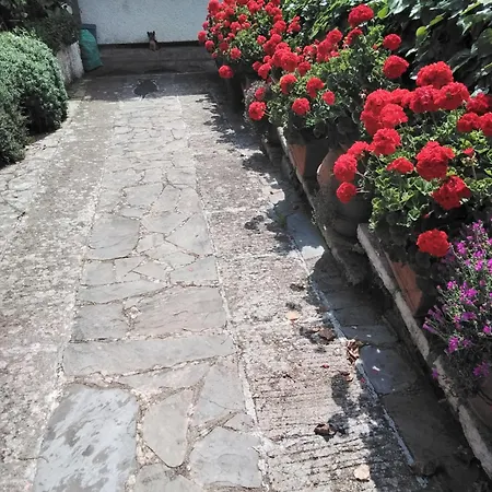 Mimosa Splendida Vista Mare Bonassola