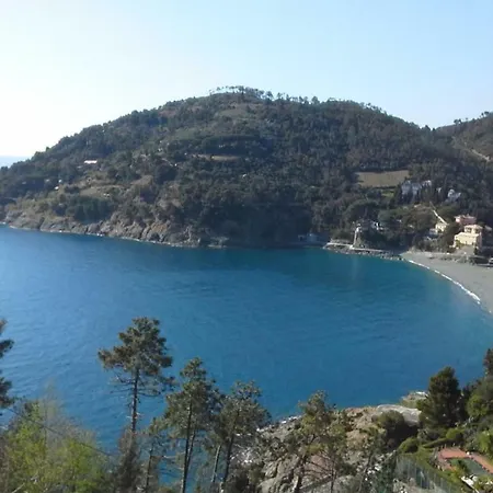 Guest house Mimosa Splendida Vista Mare
