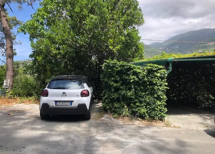 Mimosa Splendida Vista Mare 게스트하우스