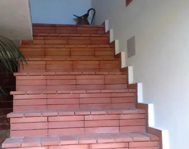 Mimosa Splendida Vista Mare 게스트하우스 보나솔라