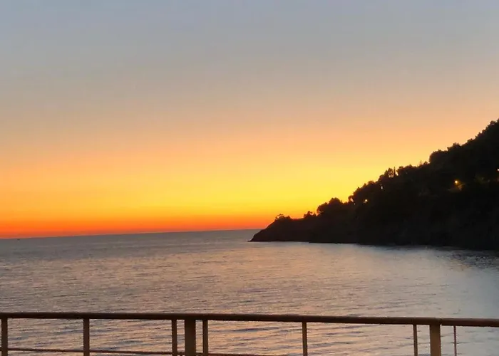 Mimosa Splendida Vista Mare 게스트하우스