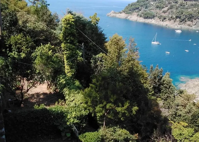 Mimosa Splendida Vista Mare 보나솔라