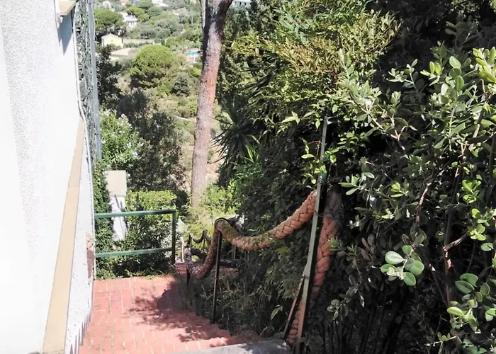 Mimosa Splendida Vista Mare בית הארחה בונאסולה