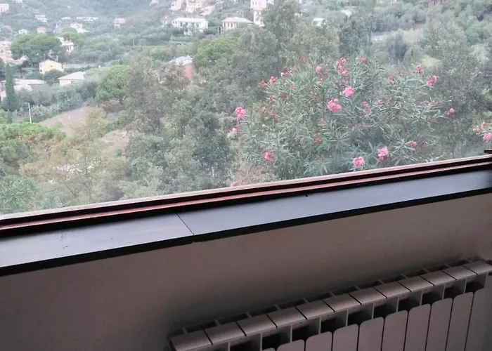 게스트하우스 Mimosa Splendida Vista Mare