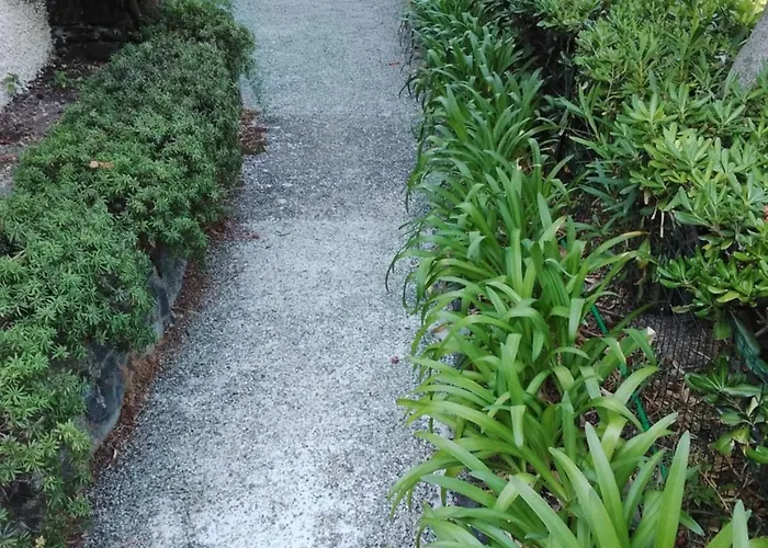 Mimosa Splendida Vista Mare 게스트하우스 보나솔라