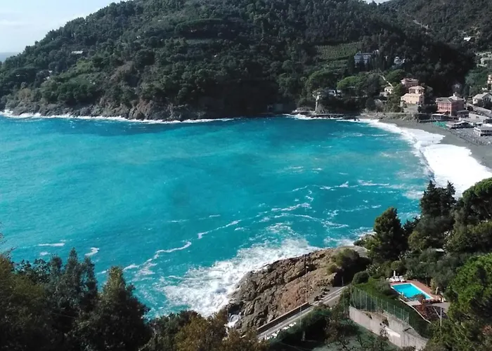 Mimosa Splendida Vista Mare 보나솔라