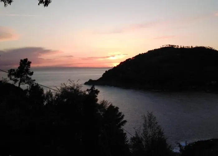 Mimosa Splendida Vista Mare Penzion 3*