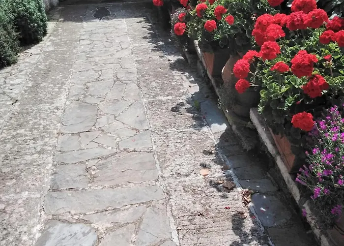 Mimosa Splendida Vista Mare 보나솔라