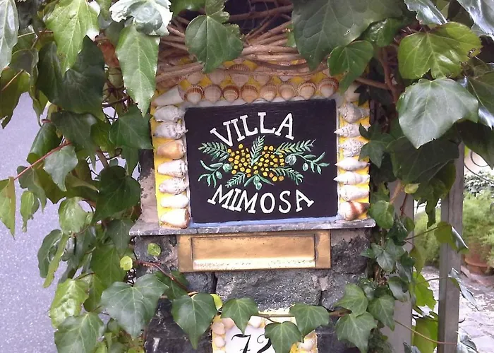 Mimosa Splendida Vista Mare